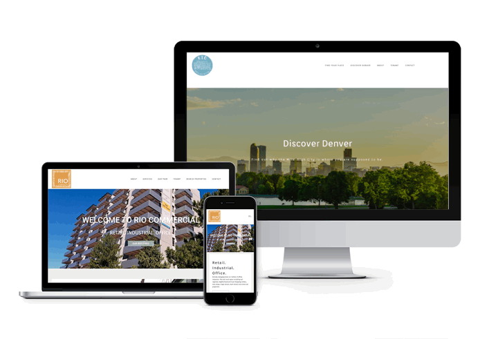 RIO website design